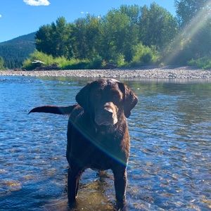 Meet your Posher, David